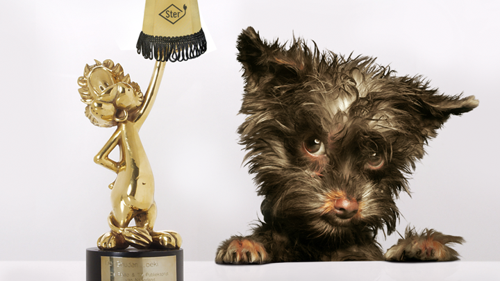 Een gouden beeldje met een hond en een award, naast een schattige, natte puppy.