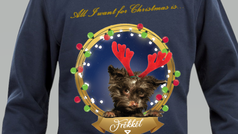 Hond met rendiergeweien in een kerstachtig ontwerp